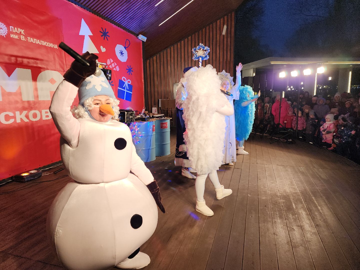 подольск, зажжение огней на елке, зима в подмосковье, вертикалка