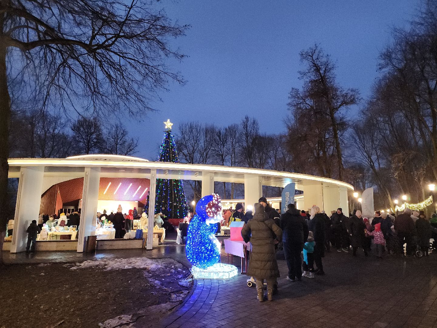 подольск, зажжение огней на елке, зима в подмосковье, вертикалка