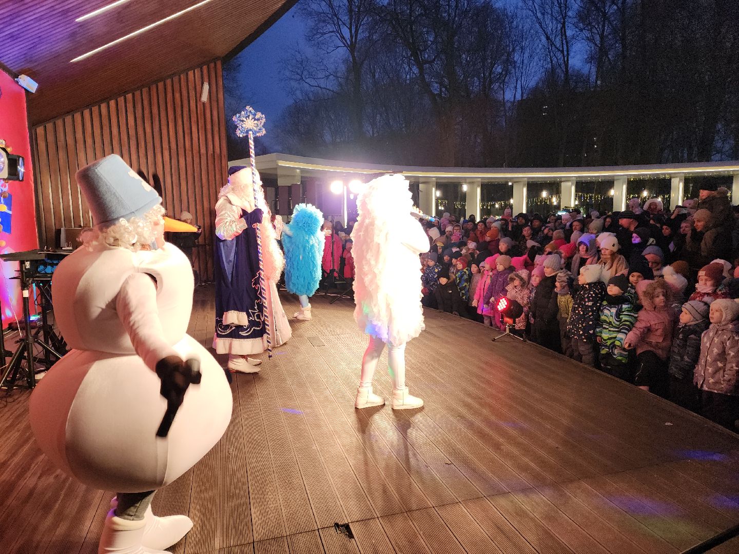 подольск, зажжение огней на елке, зима в подмосковье, вертикалка