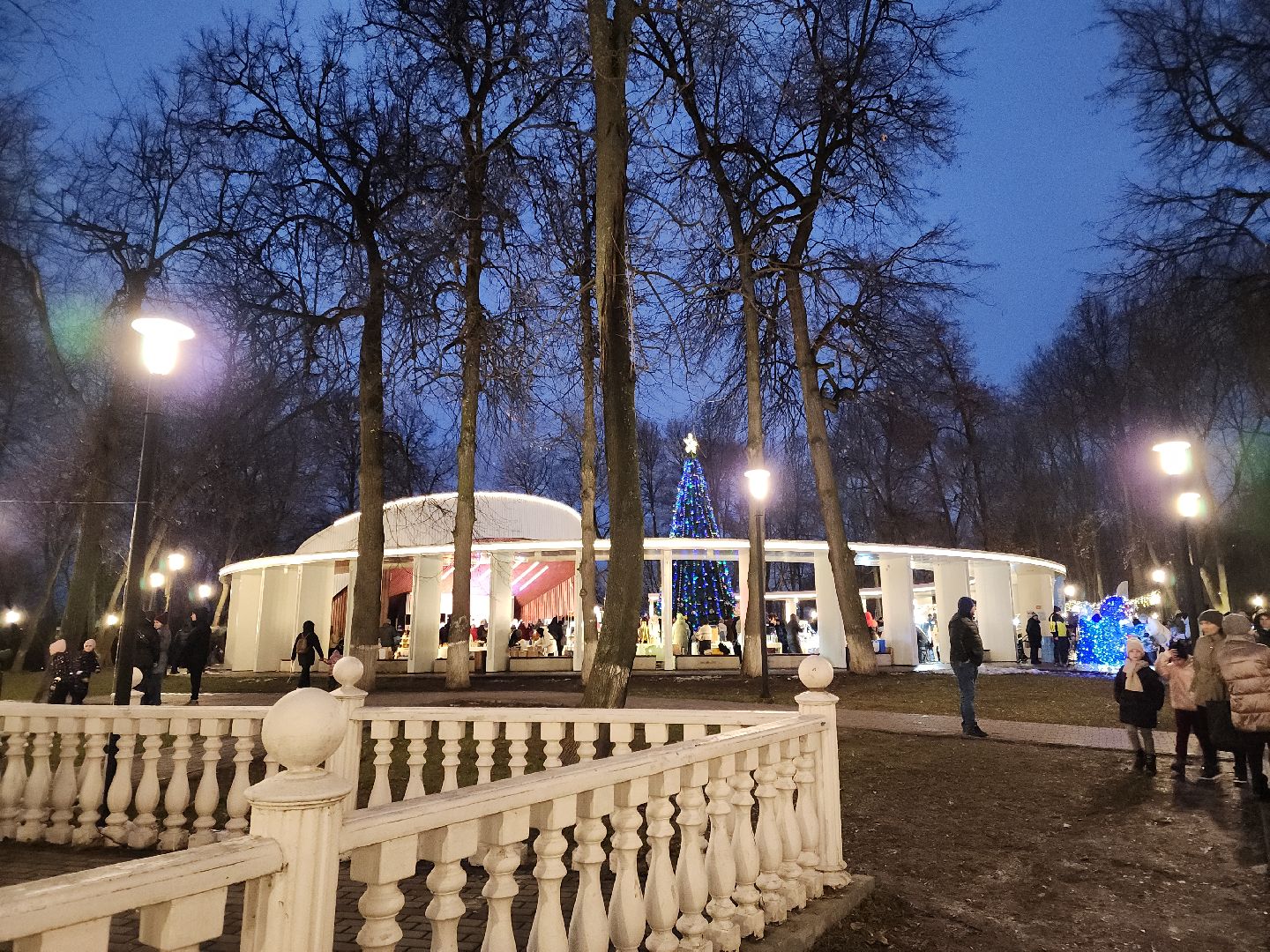 подольск, зажжение огней на елке, зима в подмосковье, вертикалка