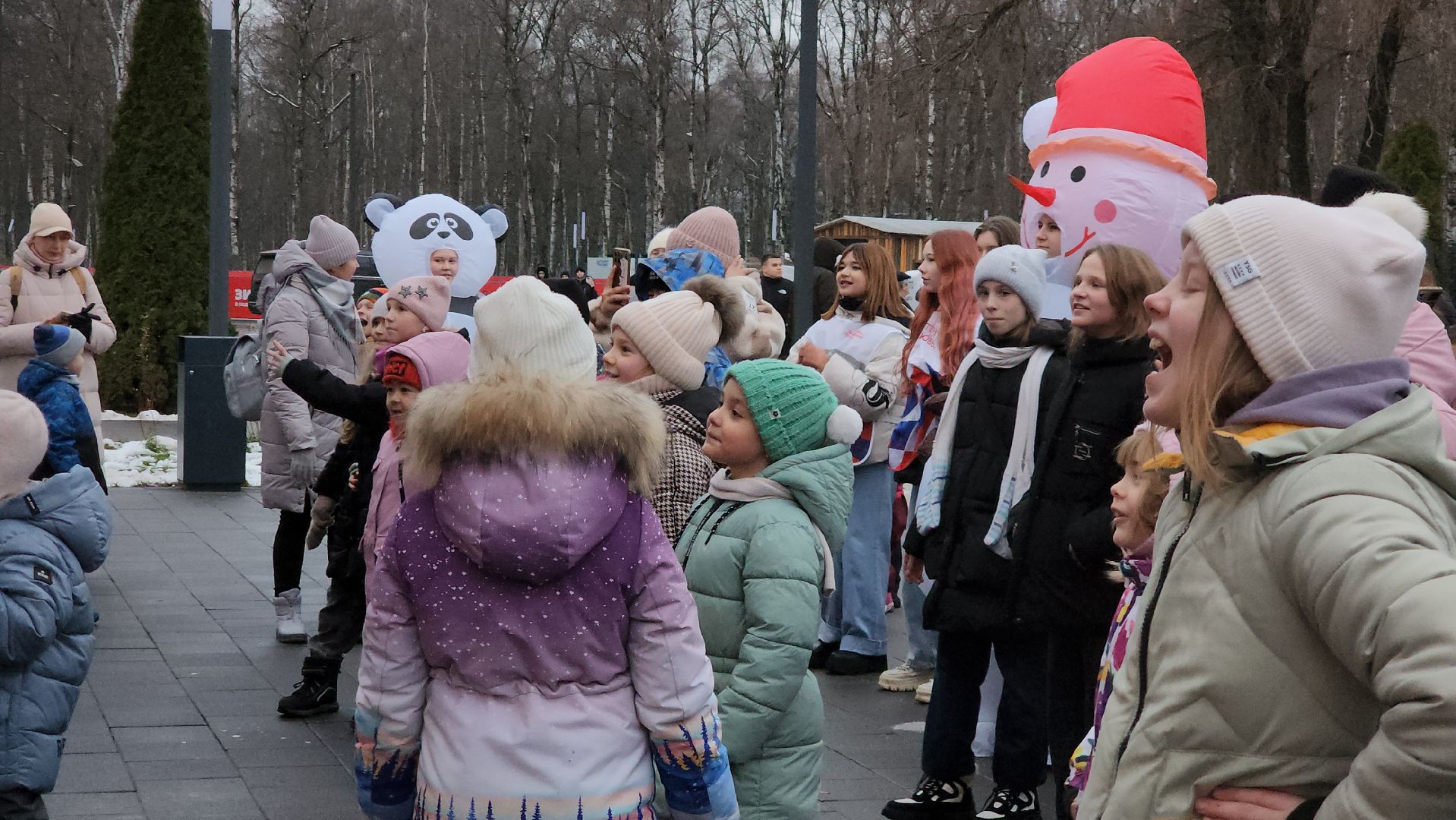Зима, зима в подмосковье, Лобня, вертикалки,