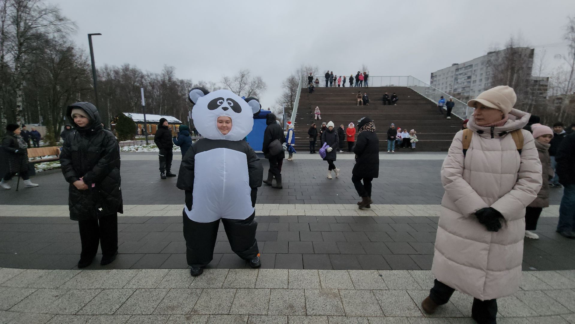 Зима, зима в подмосковье, Лобня, вертикалки,