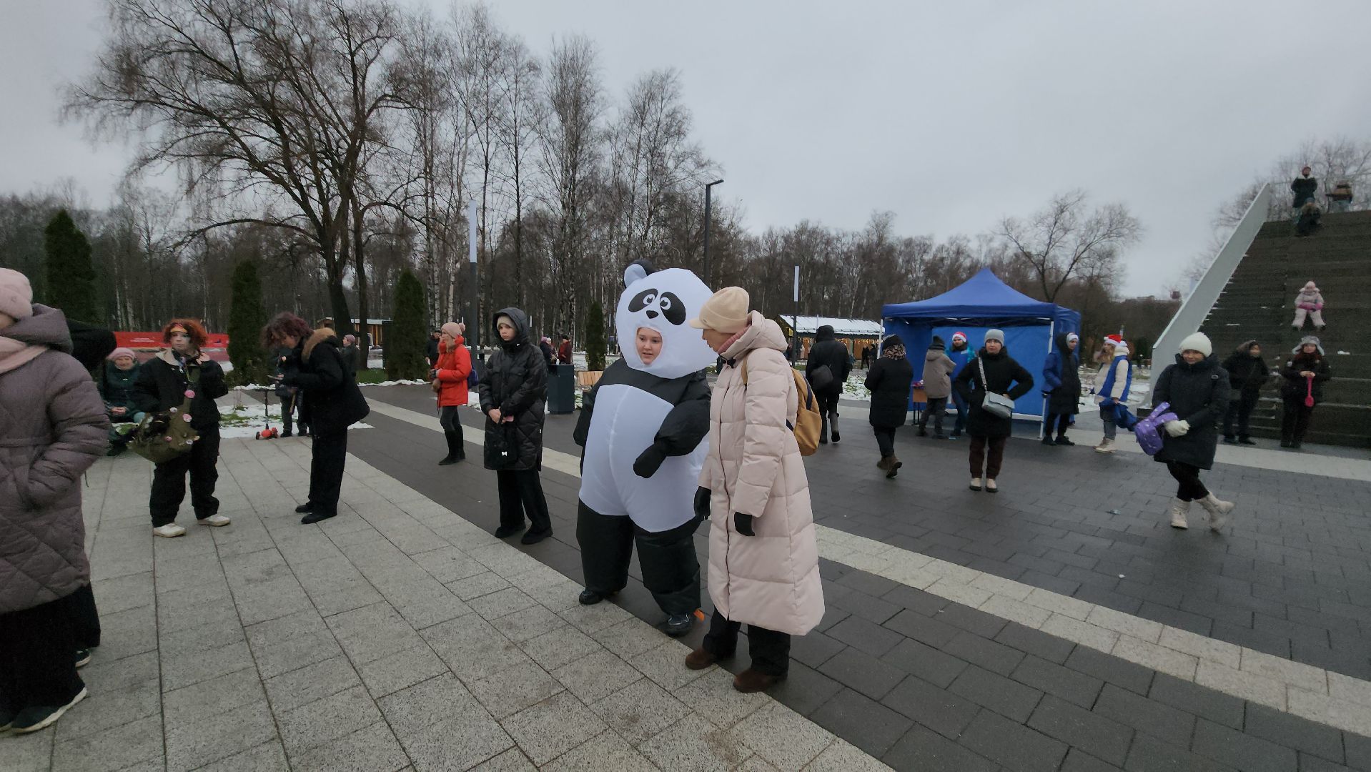 Зима, зима в подмосковье, Лобня, вертикалки,