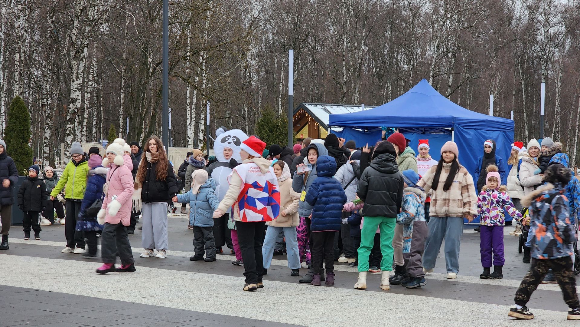 Зима, зима в подмосковье, Лобня, вертикалки,