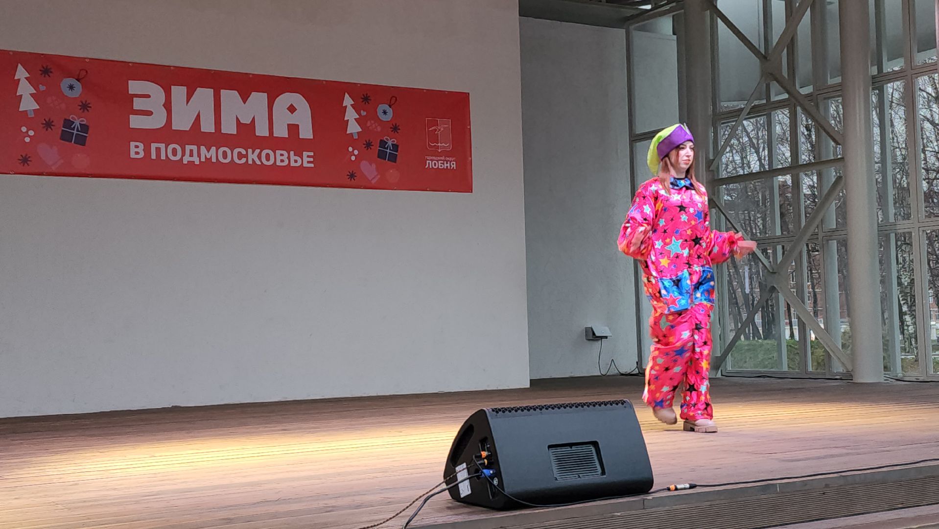 Зима, зима в подмосковье, Лобня, вертикалки,