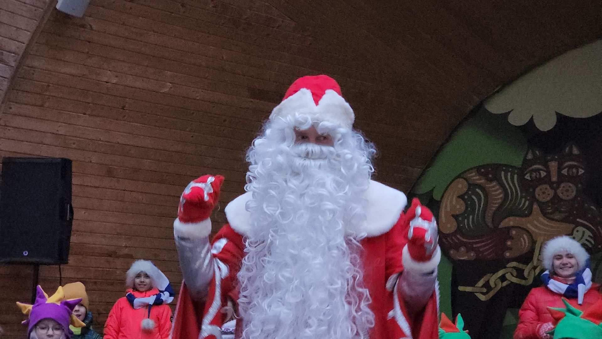 красногорск, зима в подмосковье, детский городок сказочный, световое шоу, дед мороз, елочка зажгись,