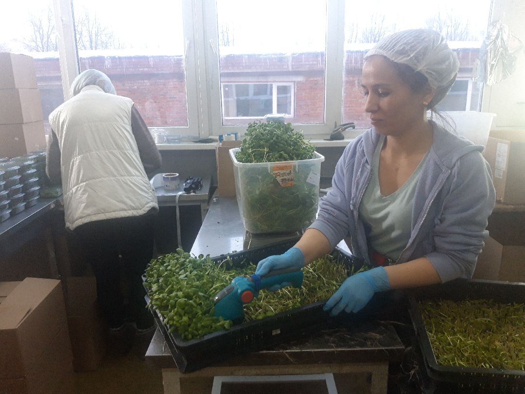 Пущкино, инновации, эксклюзив, экономика