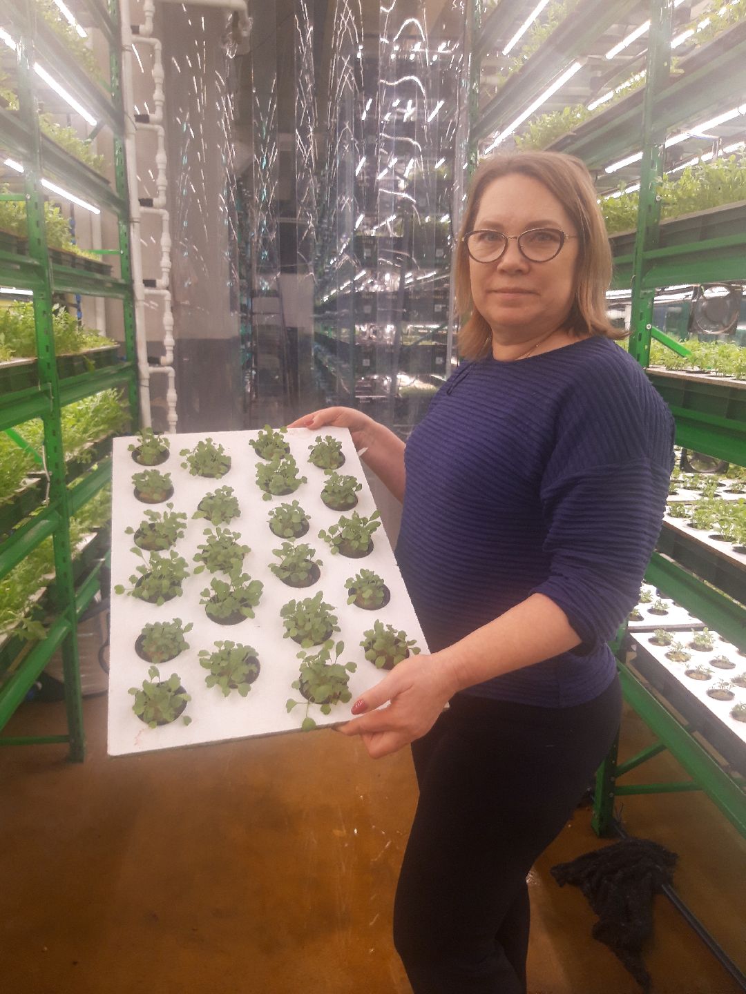 Пущкино, инновации, эксклюзив, экономика