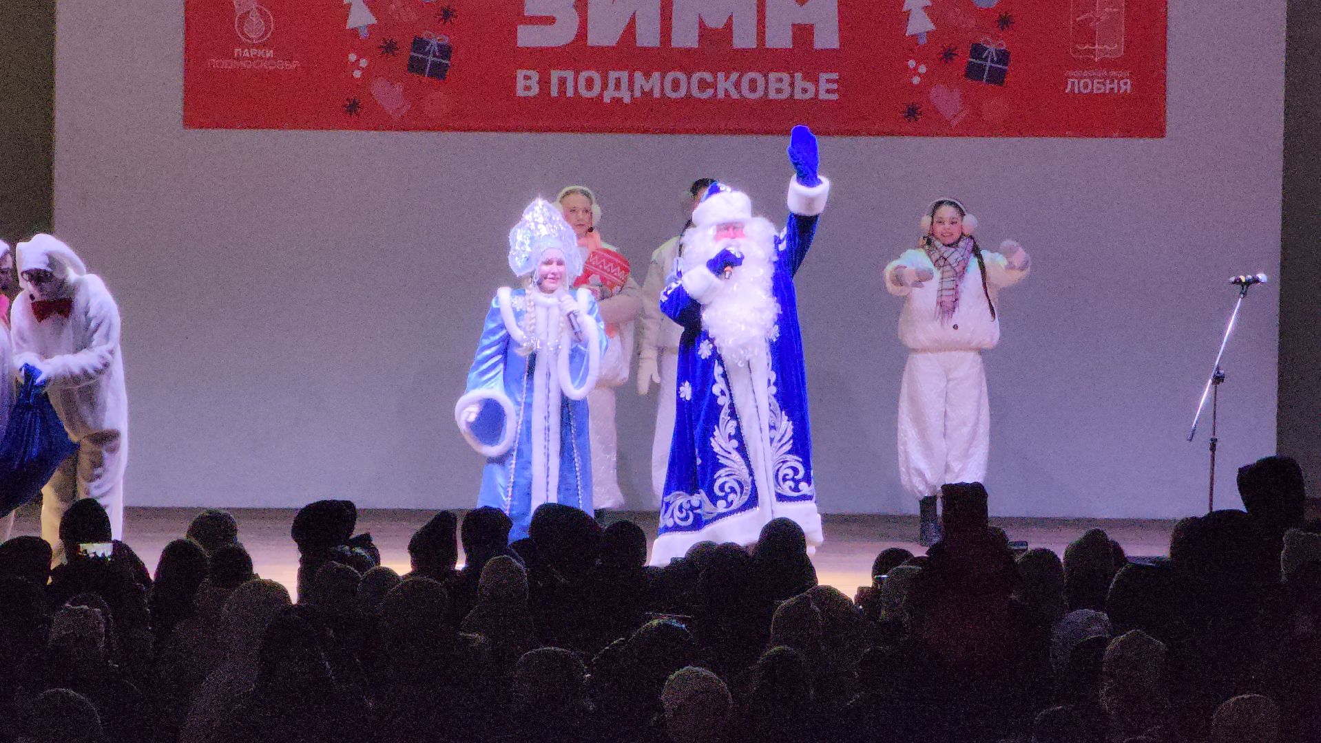 Зима, дед мороз и снегурочка, Лобня, Елка, Зима в Подмосковье, вертикалки,