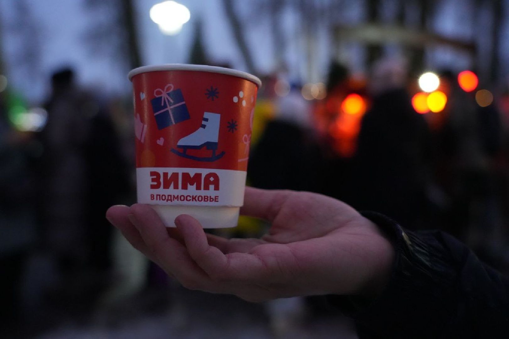 Сергиев Посад, Парки МО, Зима в Подмосковье, вертикалки,