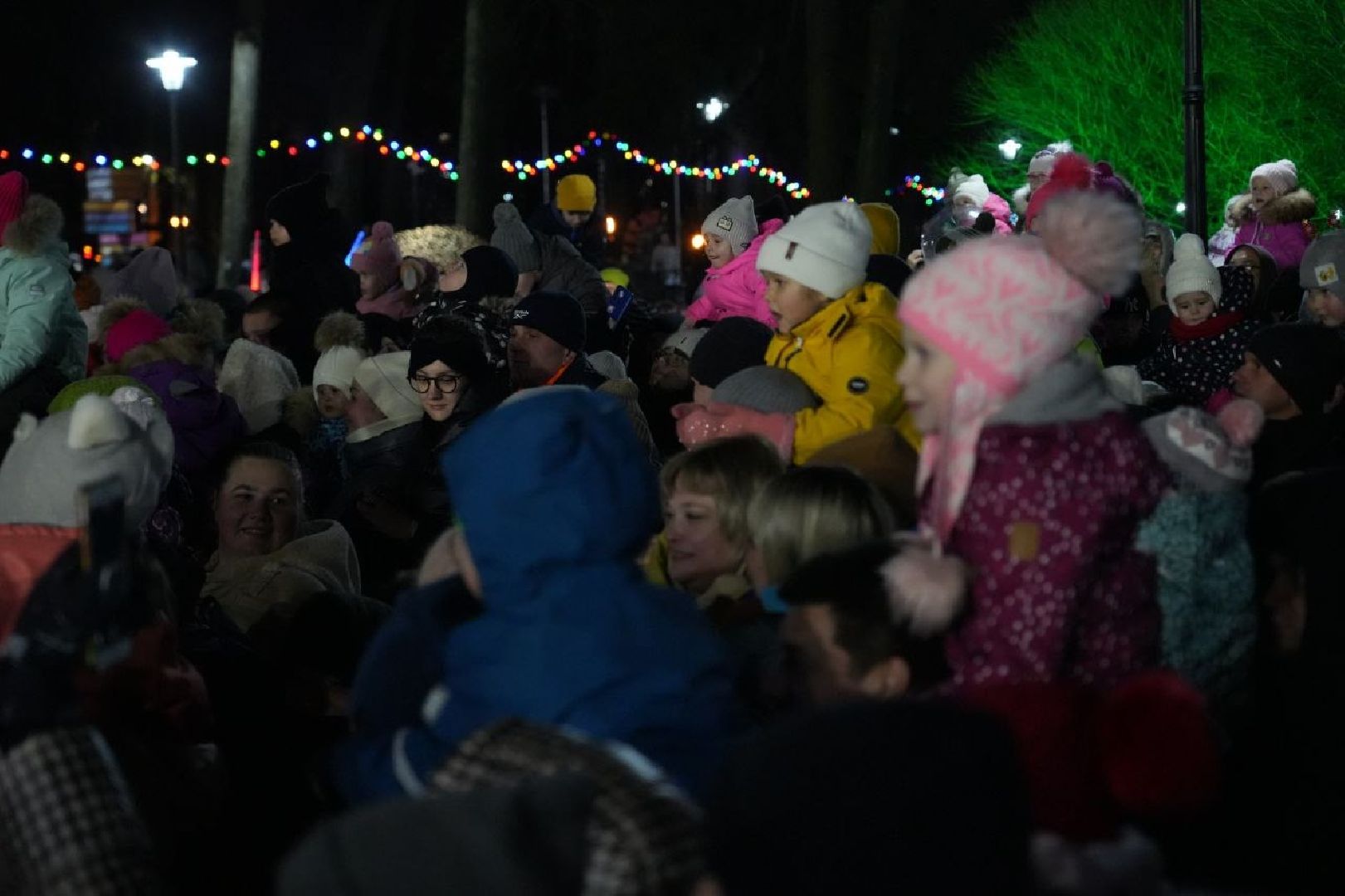 сергиев посад, зима в подмосковье, елка, вертикалки,