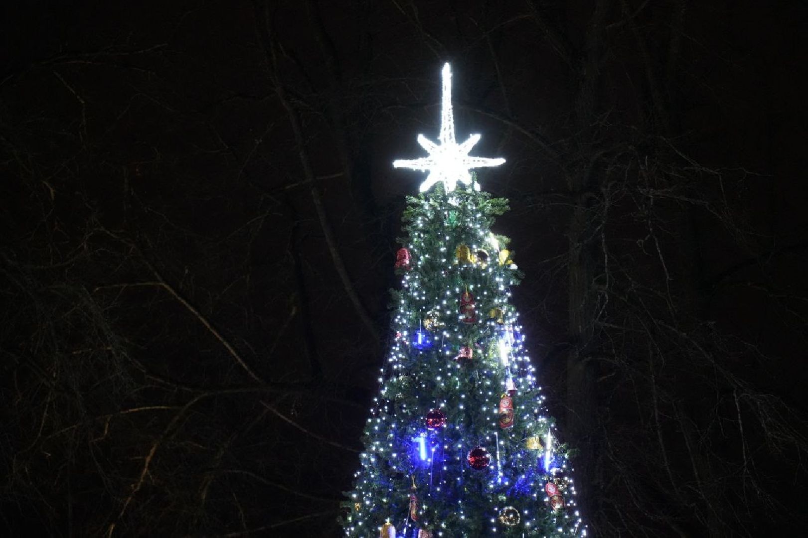 сергиев посад, зима в подмосковье, елка, вертикалки,