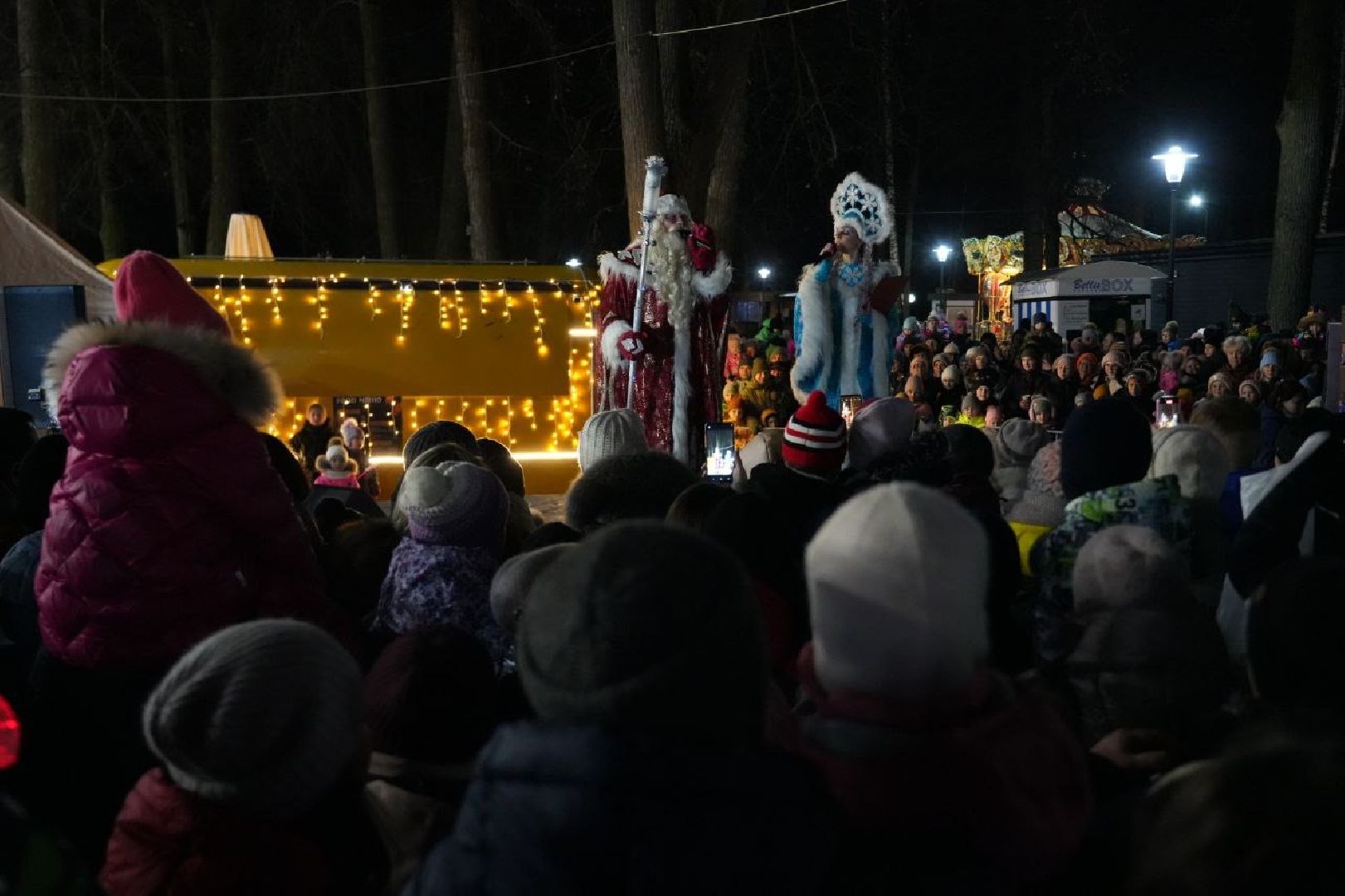 сергиев посад, зима в подмосковье, елка, вертикалки,