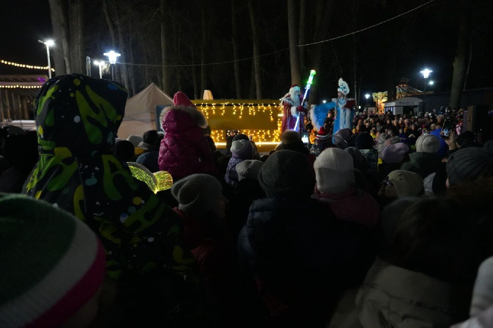 сергиев посад, зима в подмосковье, елка, вертикалки,