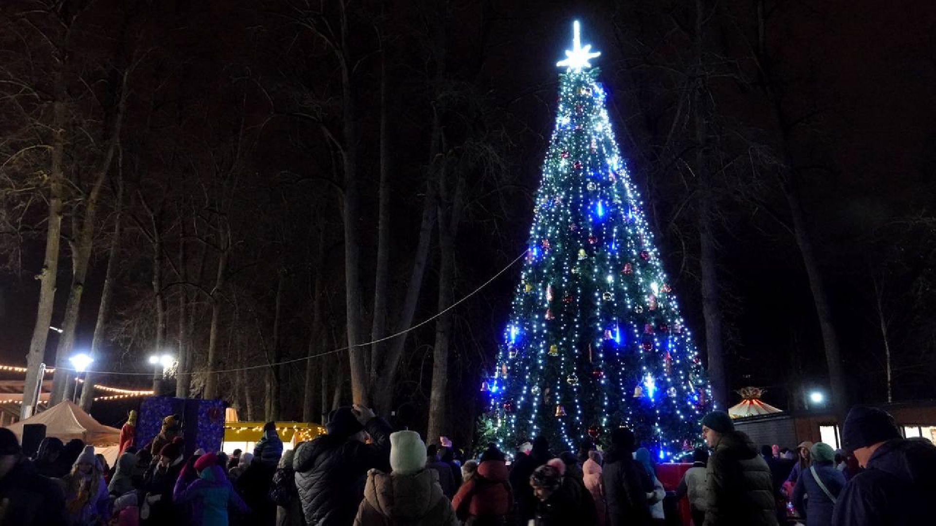 Парки Подмосковья, Зима в Подмосковье, Парки МО, Скитские пруды, Сергиев Посад, Зимний сезон, вертикалки,