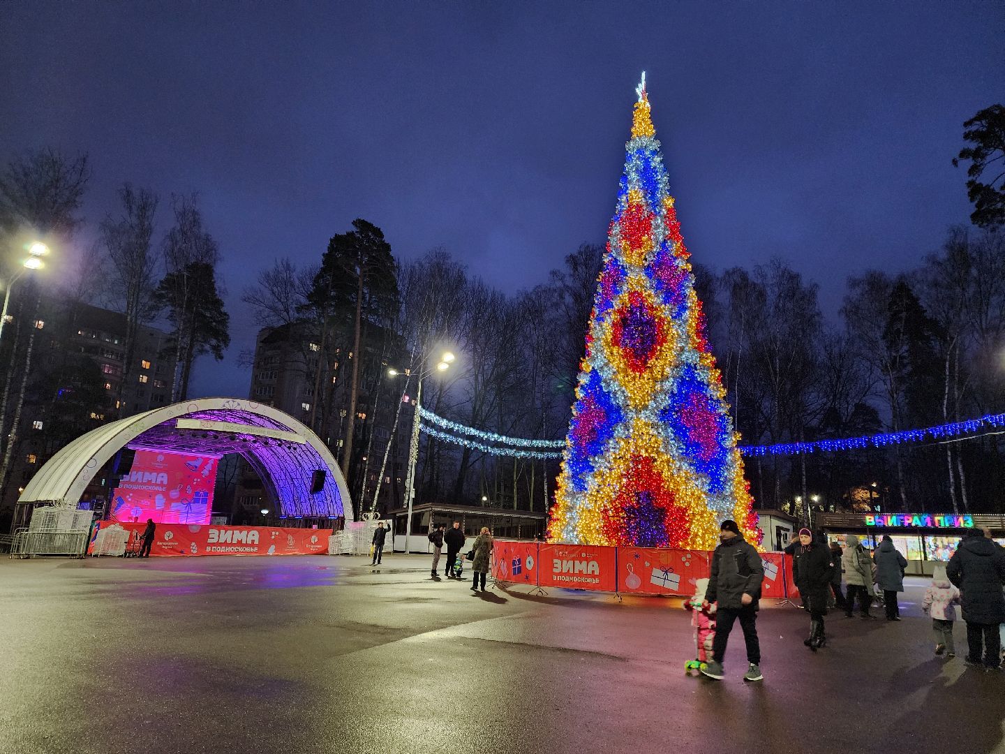 общество, жители, ногинск, парки подмосковья, новогодняя елка, огненное шоу, дети, вертикалки, зима в подмосковье,