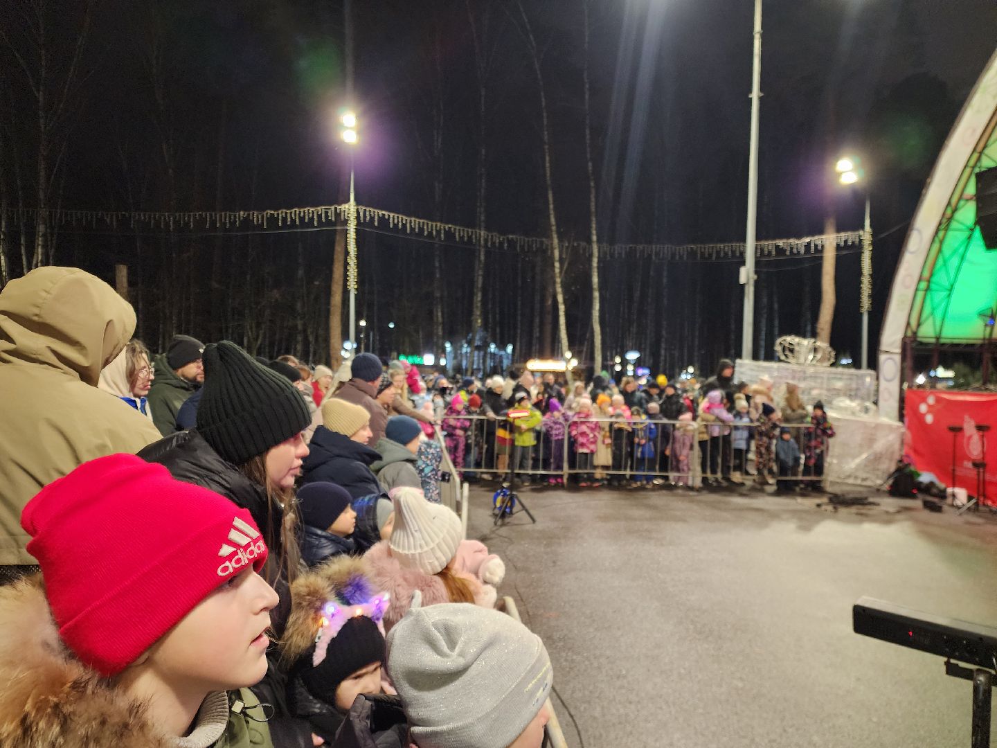 общество, жители, ногинск, парки подмосковья, новогодняя елка, огненное шоу, дети, вертикалки, зима в подмосковье,