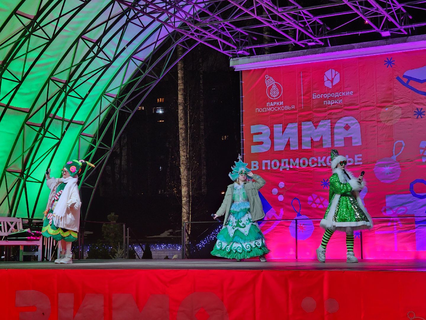 общество, жители, ногинск, парки подмосковья, новогодняя елка, огненное шоу, дети, вертикалки, зима в подмосковье,