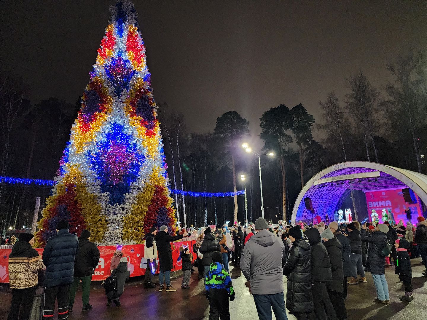 общество, жители, ногинск, парки подмосковья, новогодняя елка, огненное шоу, дети, вертикалки, зима в подмосковье,