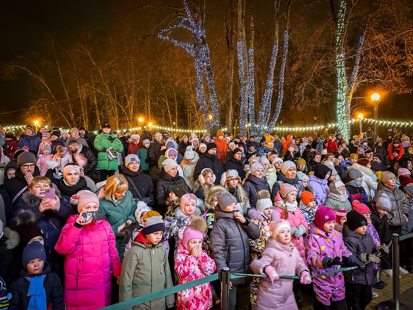 Клин, общество, культура, зима в подмосковье, вертикалки,