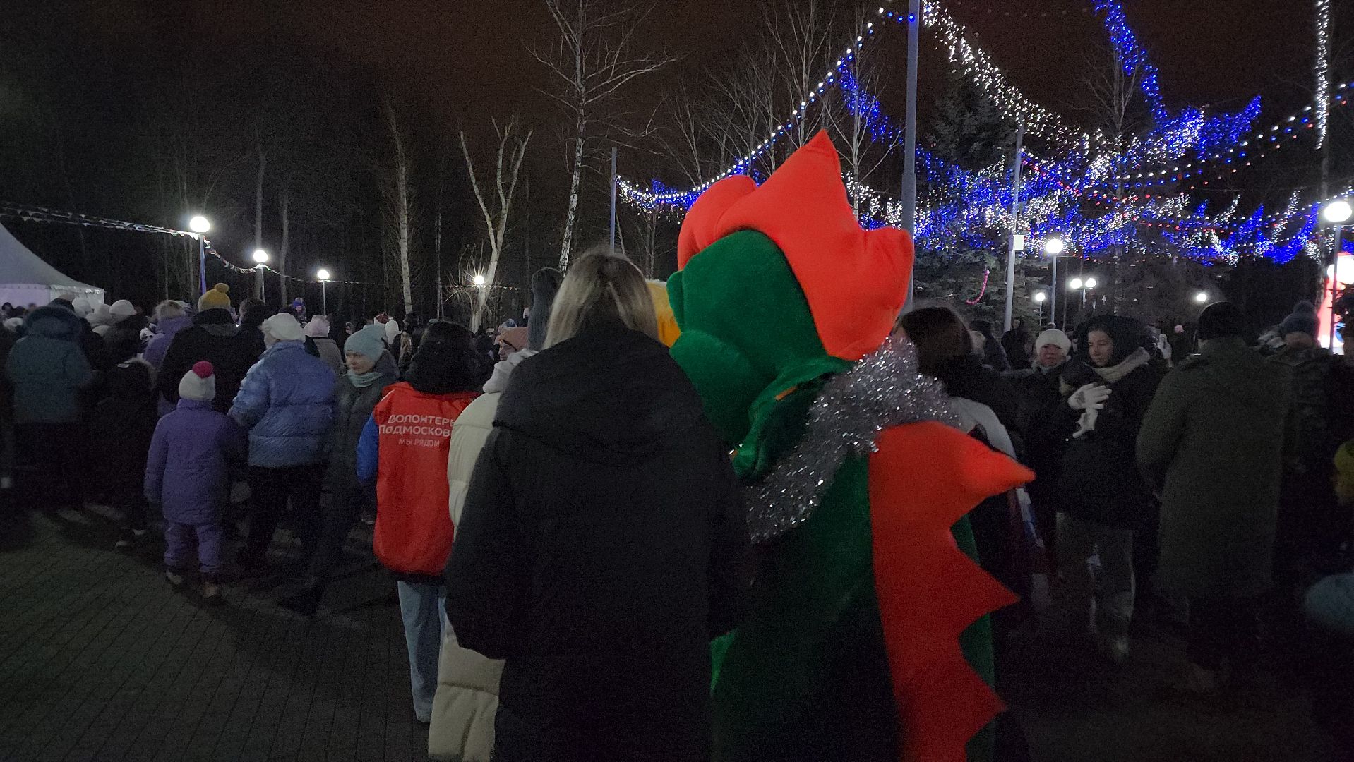 кашира, шоу барабанщиков, открытие зимнего сезона, парк, зима в подмосковье, вертикалки,