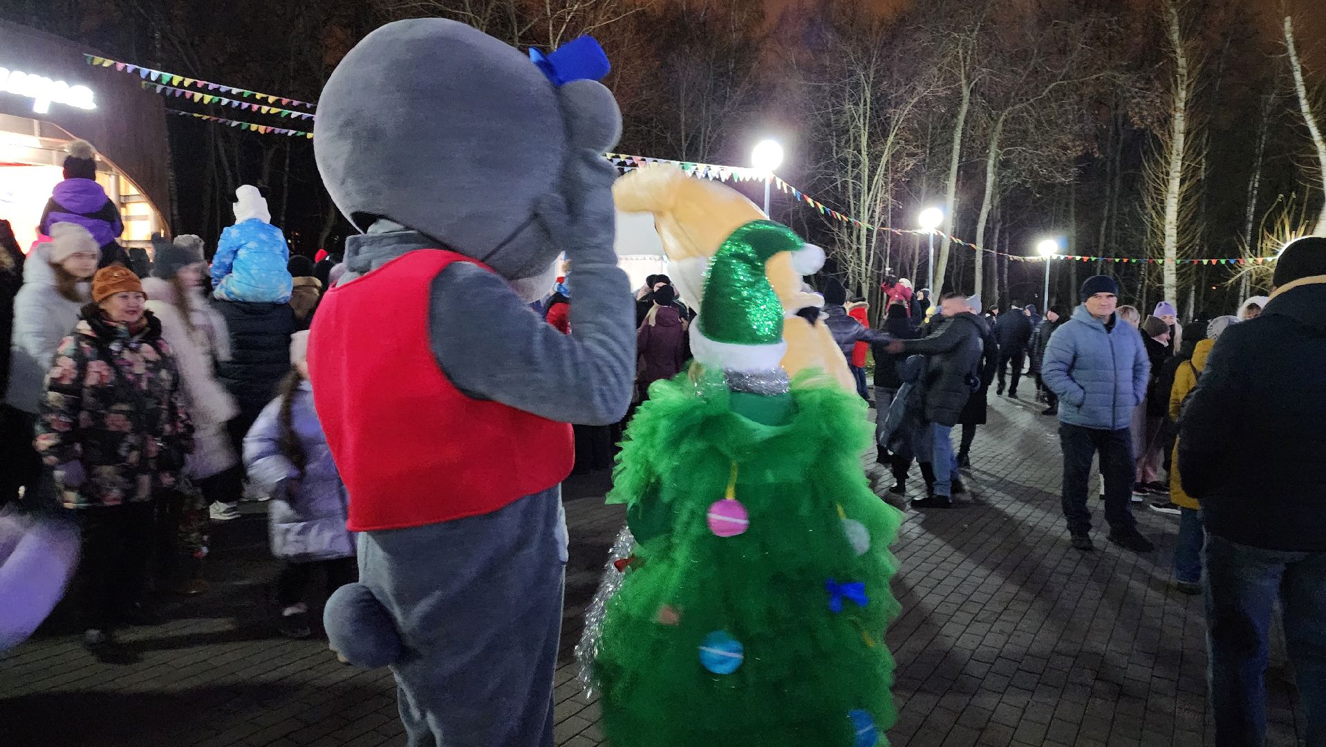 кашира, шоу барабанщиков, открытие зимнего сезона, парк, зима в подмосковье, вертикалки,