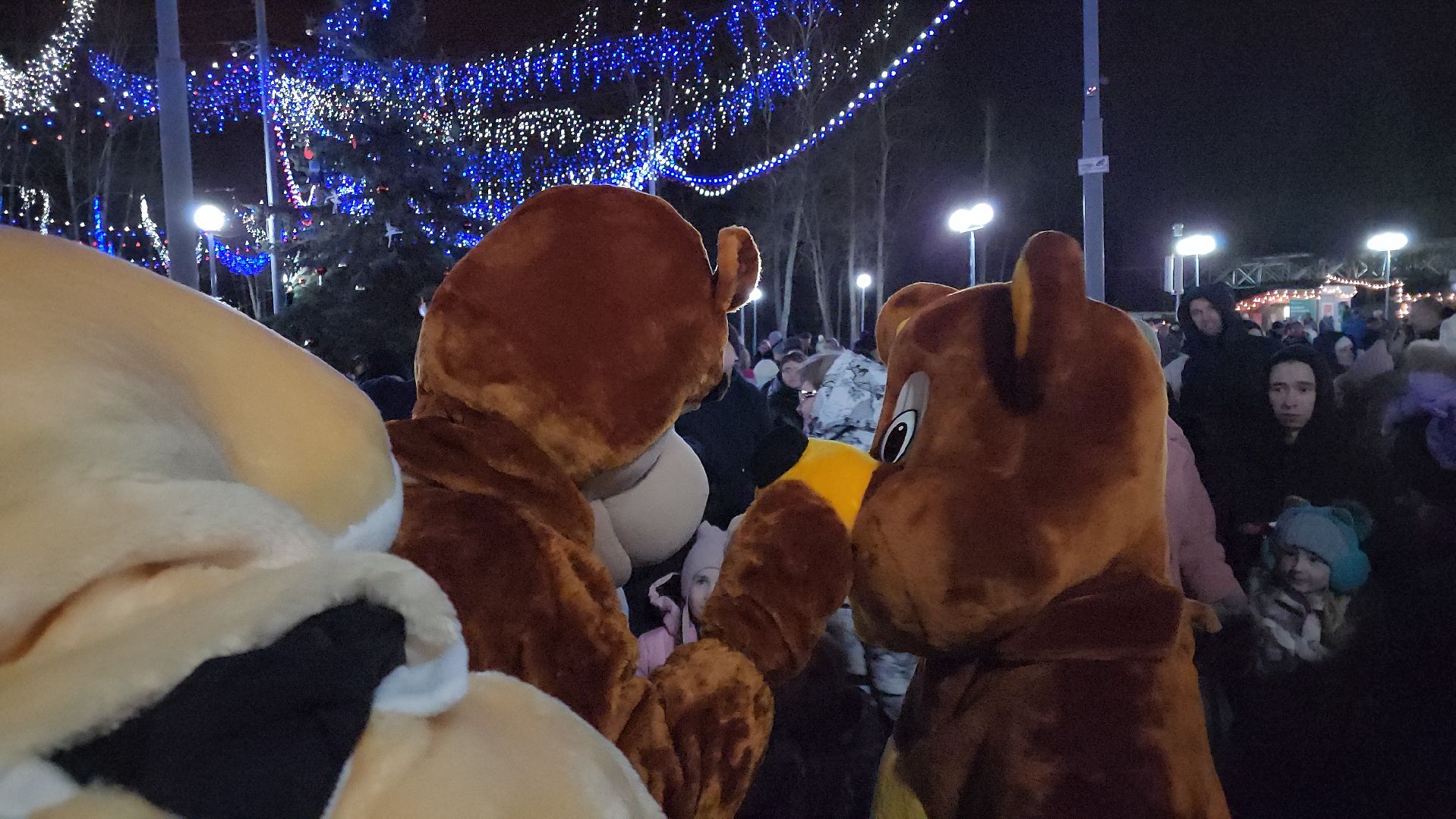 кашира, шоу барабанщиков, открытие зимнего сезона, парк, зима в подмосковье, вертикалки,