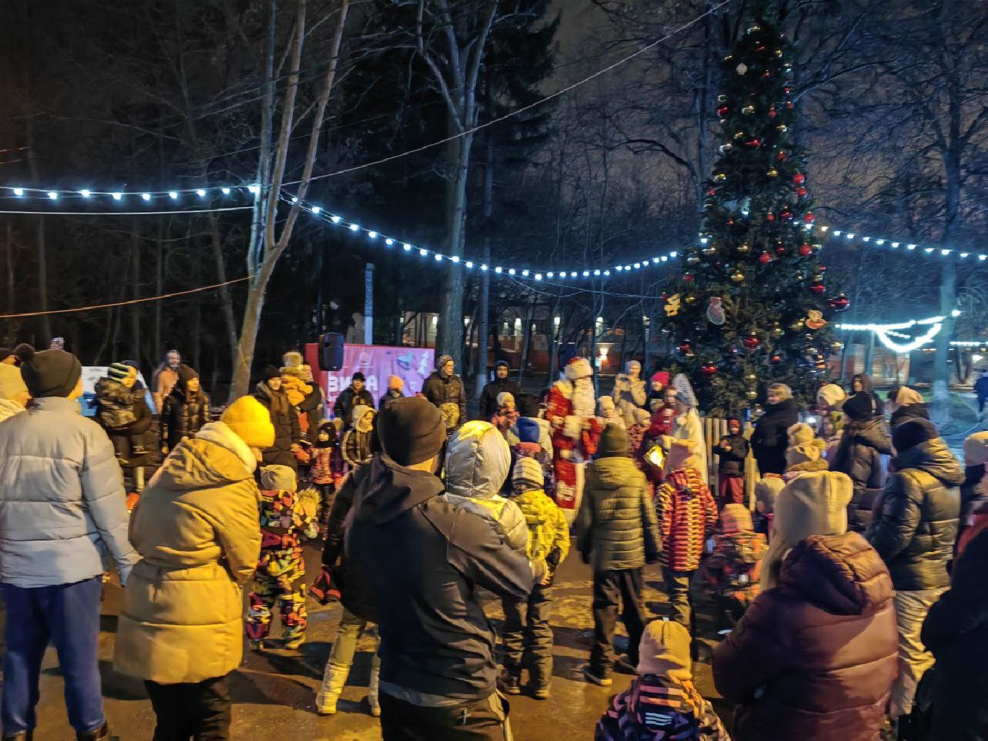 зима в парках, зима в подмосковье, Домодедово, Добровольческое движение, Подмосковье, добровольцы, первый день зимы, вертикалки,