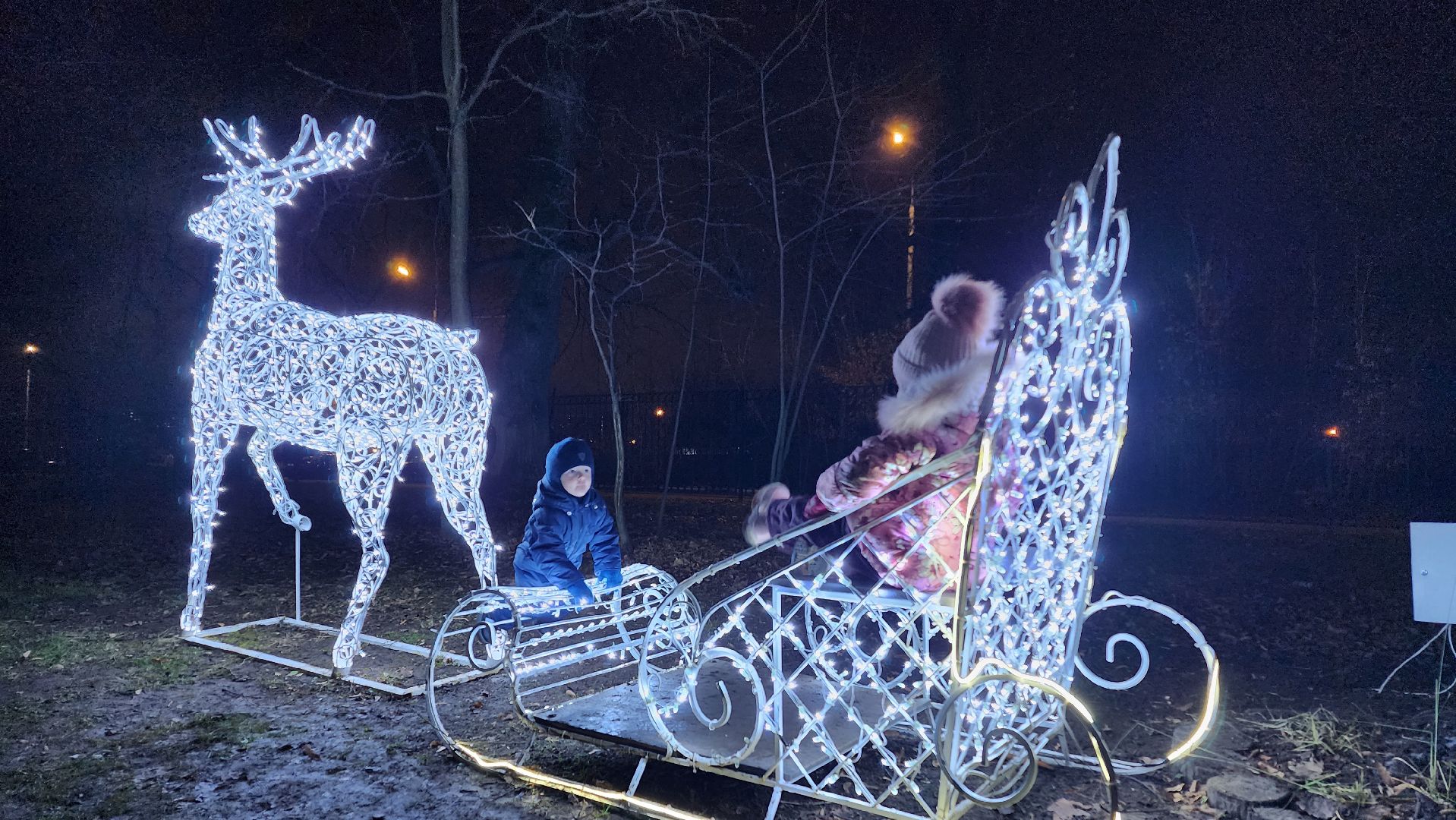 зима в парках, зима в подмосковье, Домодедово, Добровольческое движение, Подмосковье, добровольцы, первый день зимы, вертикалки,
