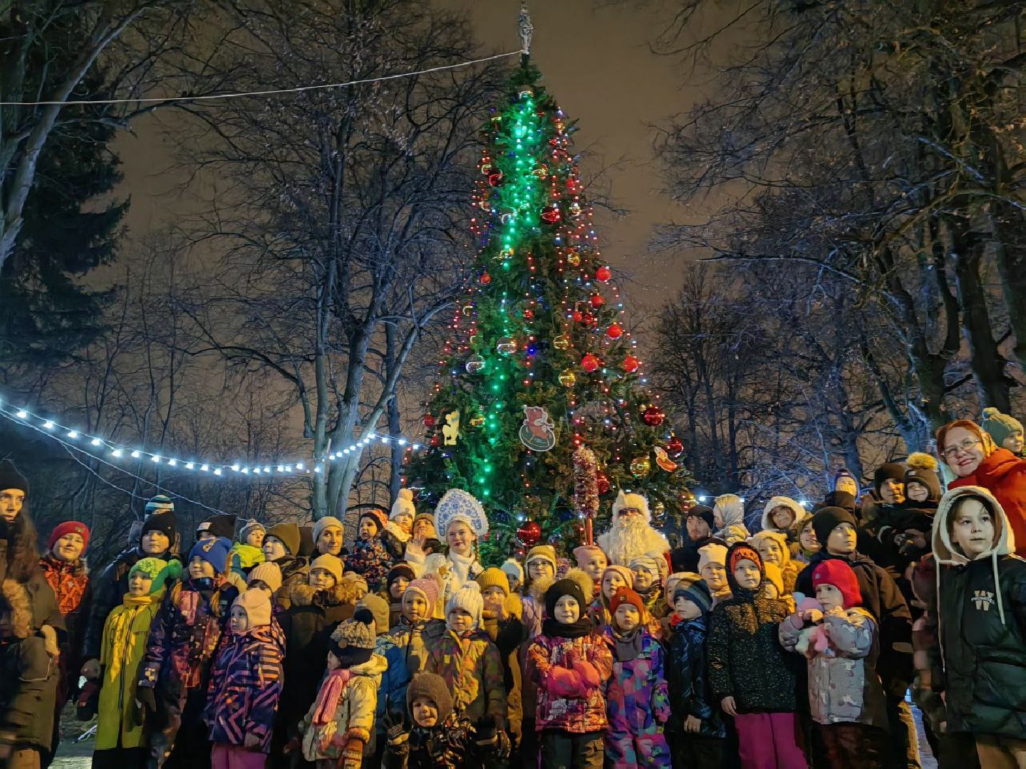 зима в парках, зима в подмосковье, Домодедово, Добровольческое движение, Подмосковье, добровольцы, первый день зимы, вертикалки,