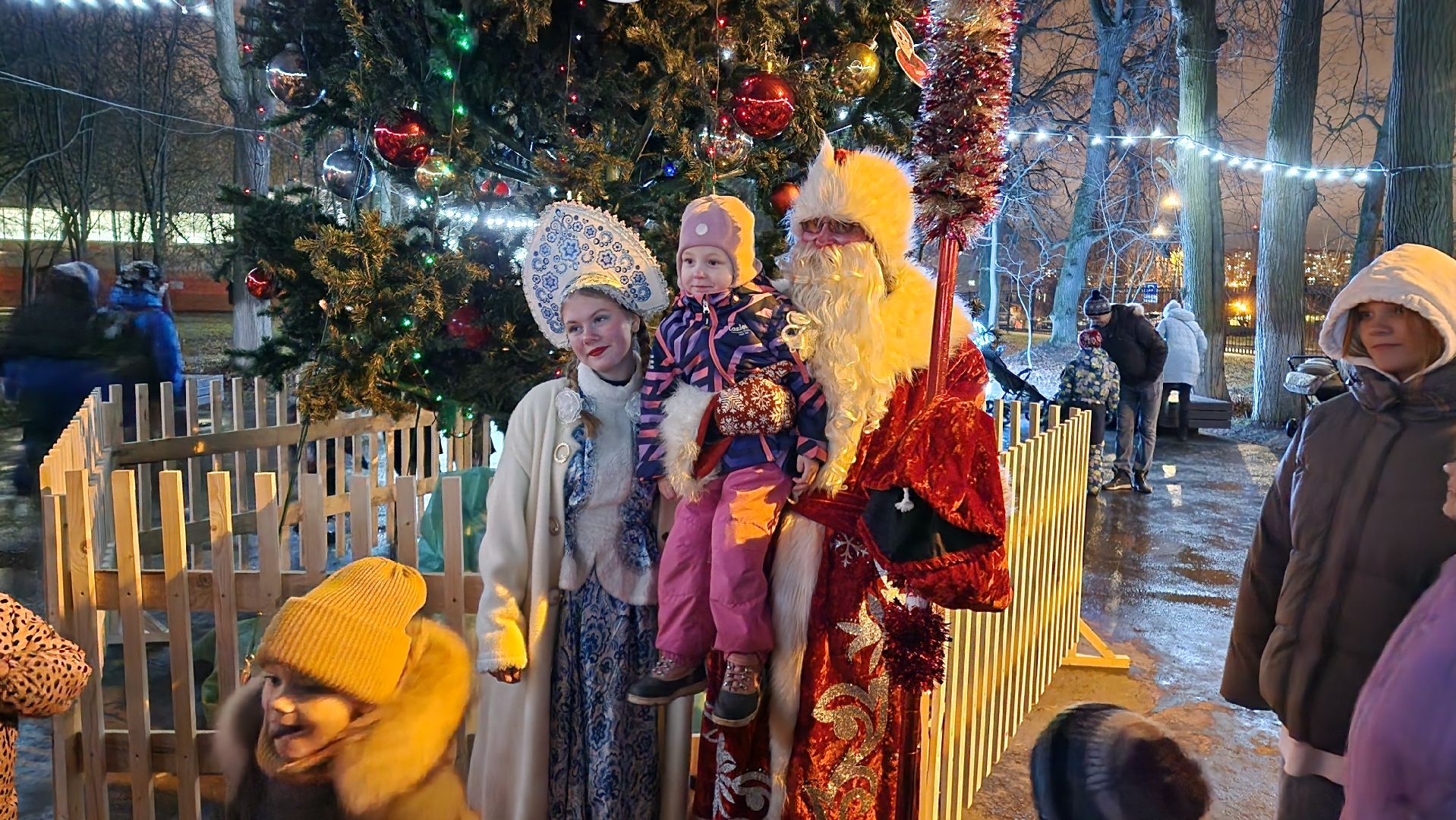зима в парках, зима в подмосковье, Домодедово, Добровольческое движение, Подмосковье, добровольцы, первый день зимы, вертикалки,