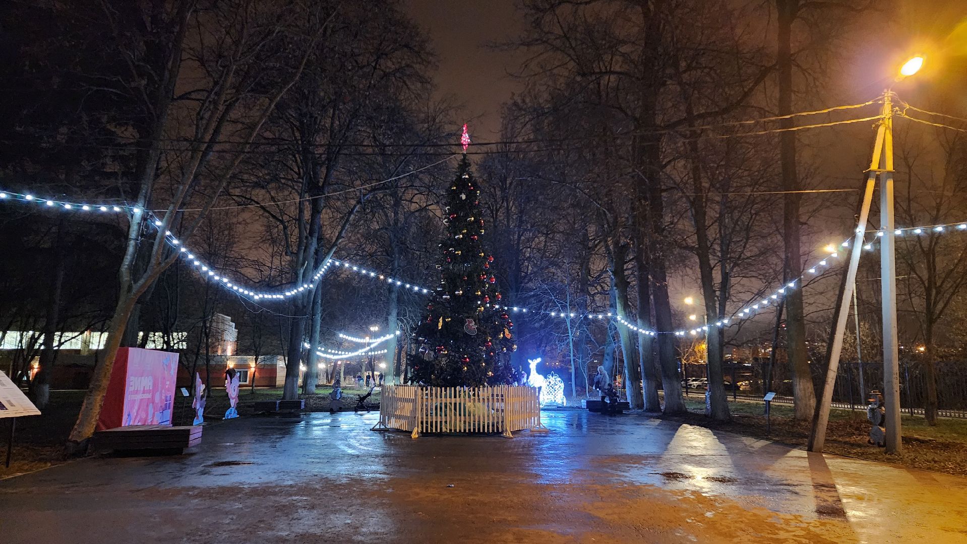 зима в парках, зима в подмосковье, Домодедово, Добровольческое движение, Подмосковье, добровольцы, первый день зимы, вертикалки,