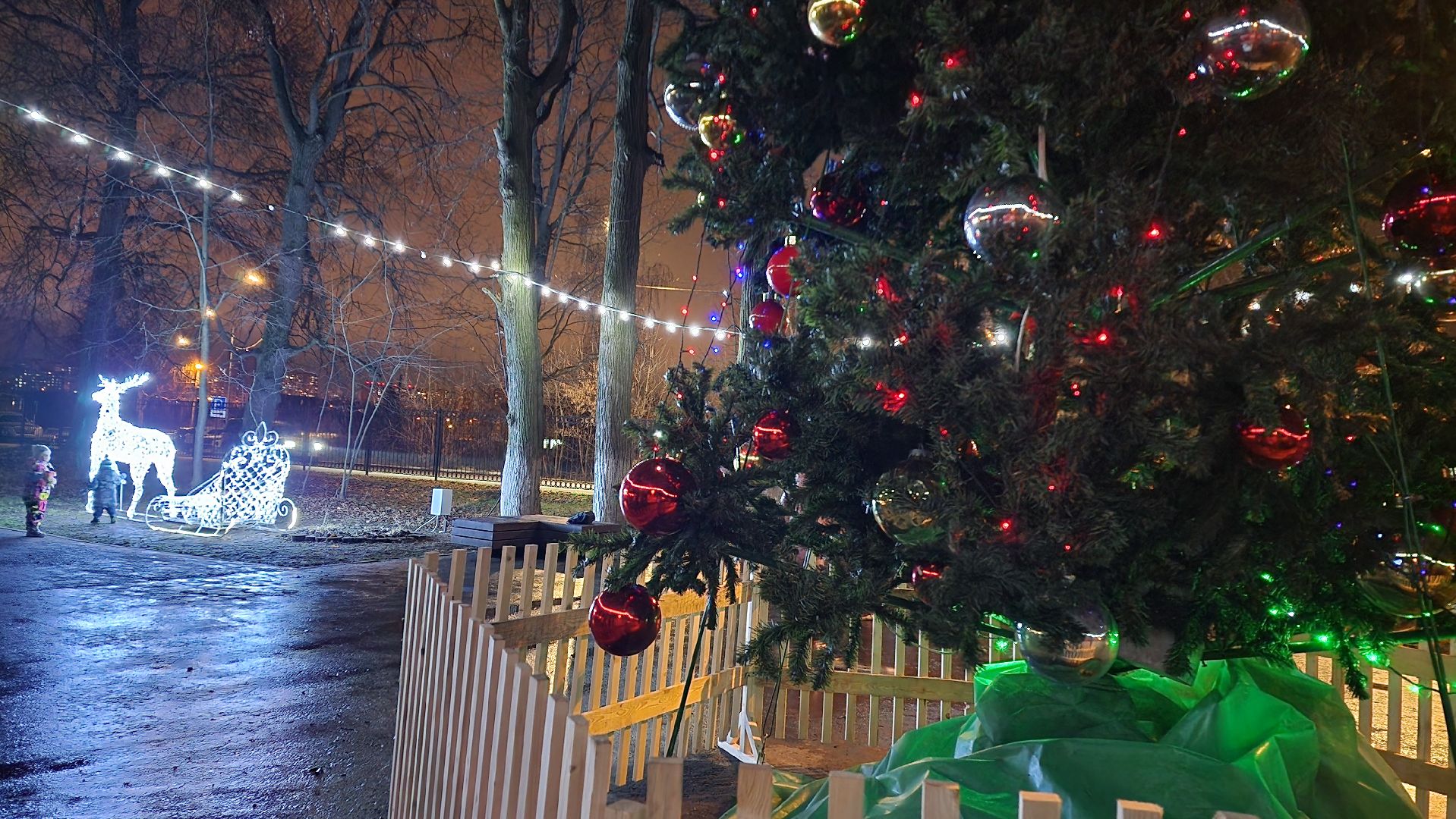 зима в парках, зима в подмосковье, Домодедово, Добровольческое движение, Подмосковье, добровольцы, первый день зимы, вертикалки,