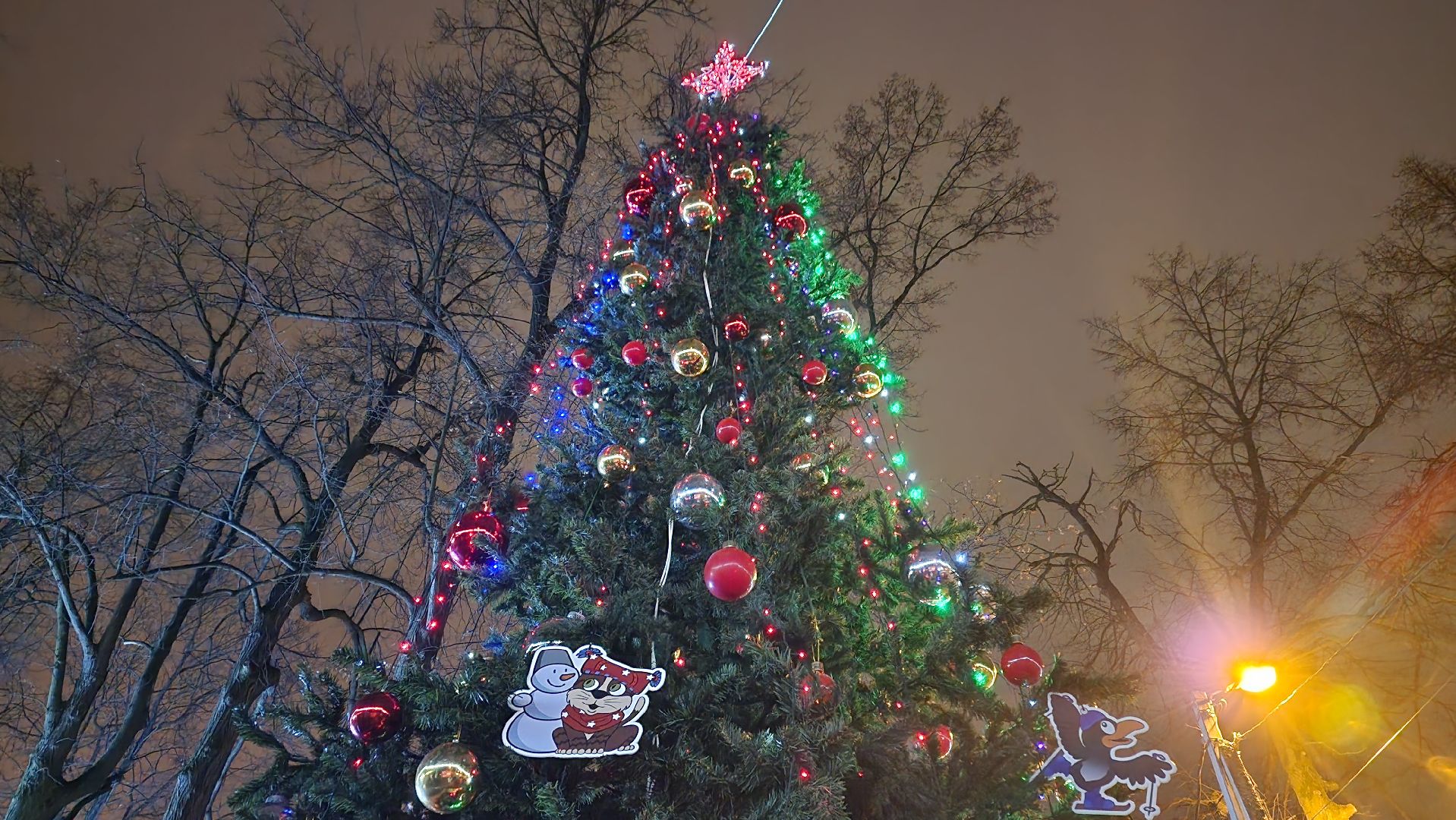 зима в парках, зима в подмосковье, Домодедово, Добровольческое движение, Подмосковье, добровольцы, первый день зимы, вертикалки,