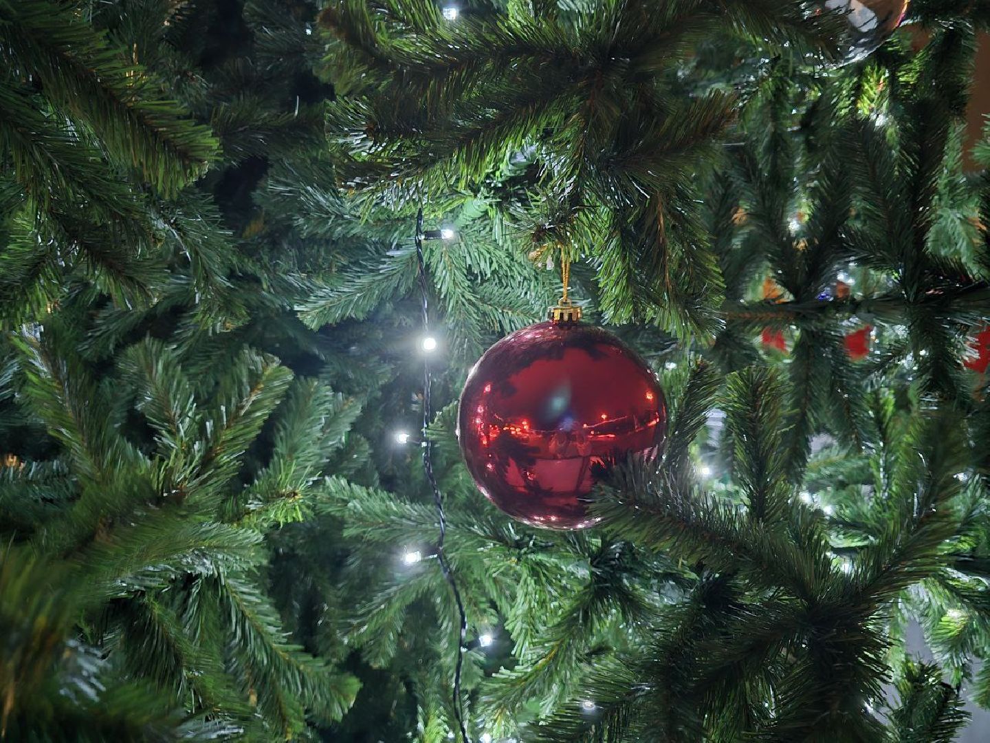 можайск, можайский городской округ, подмосковье, новый год, зимний сезон, парк, городской парк, открытие зимнего сезона, дед мороз, снегурочка, праздник, зима в подмосковье, вертикалки,