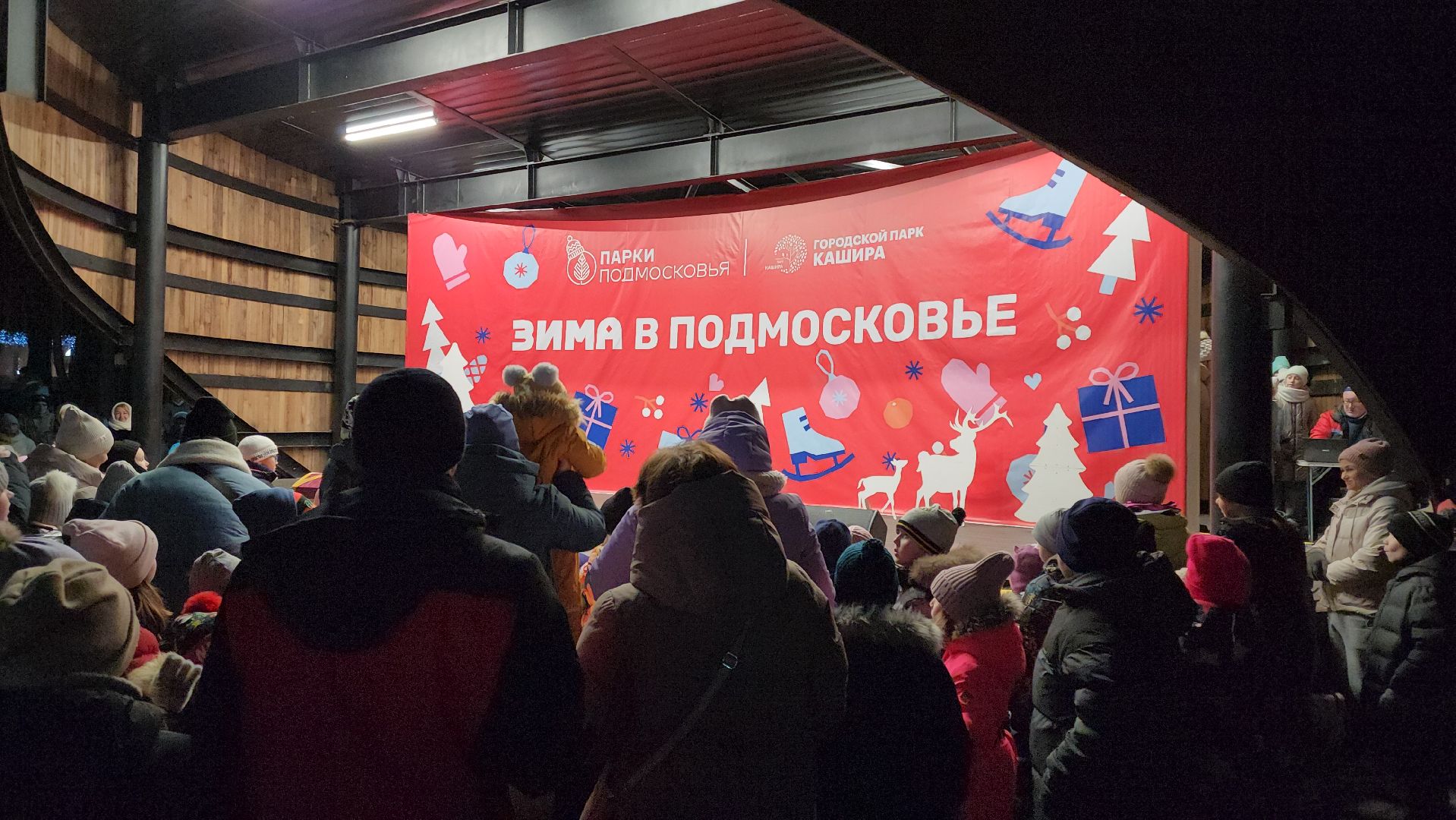 кашира, парк, открытие зимнего сезона, елочная игрушка, вертикалки, зима в подмосковье,