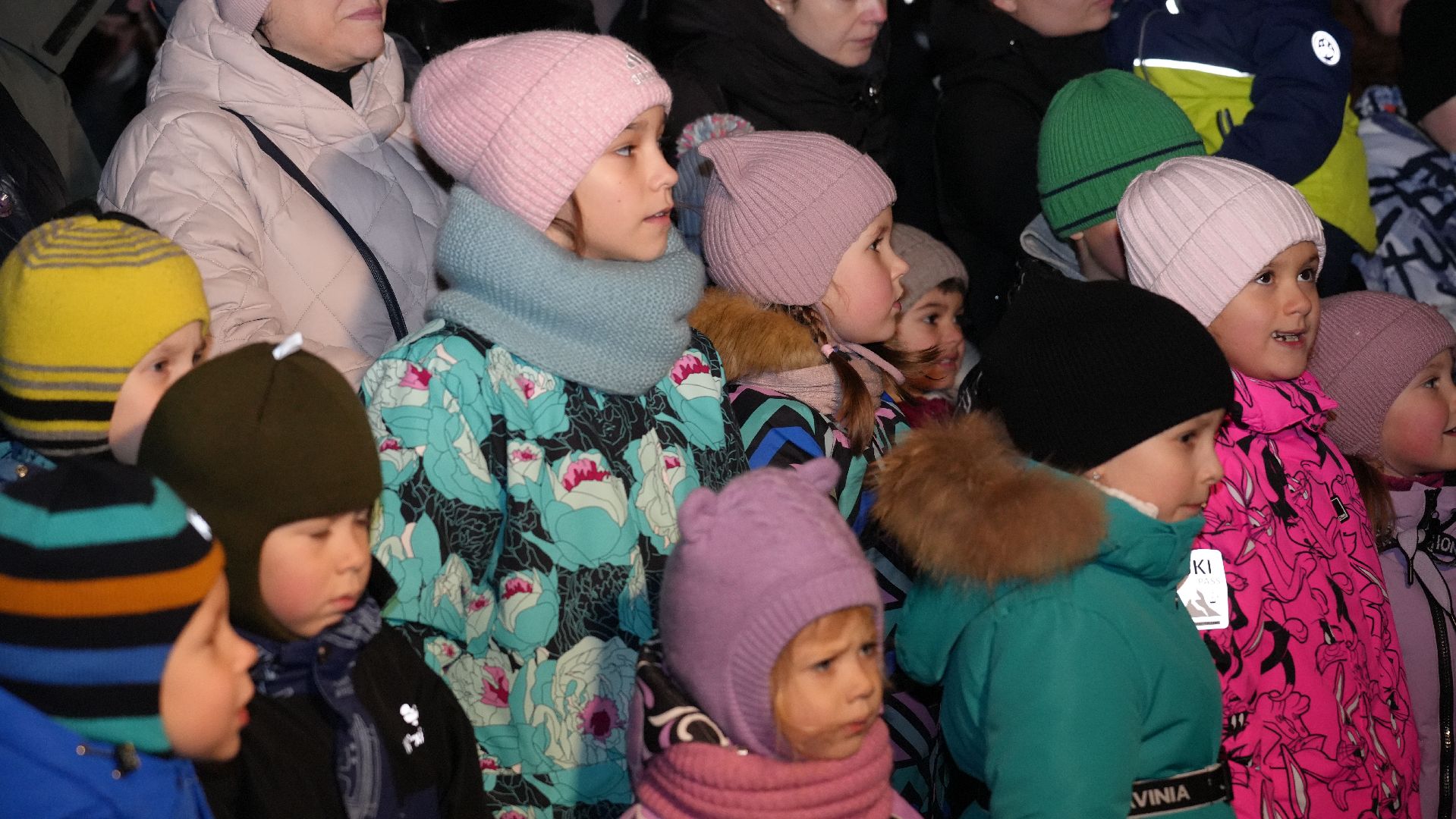 вертикалка, зима в подмосковье, елка,