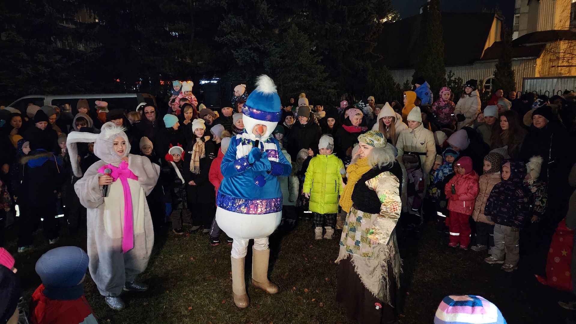 вертикалка, зима в подмосковье, елка,