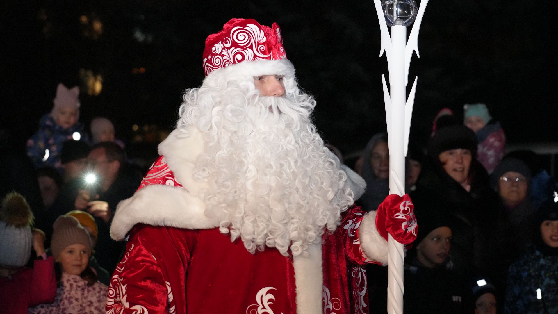 вертикалка, зима в подмосковье, елка,