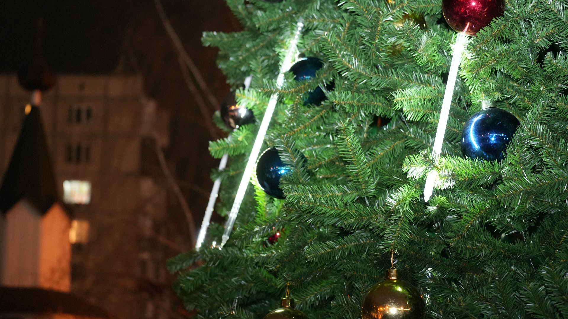 вертикалка, зима в подмосковье, елка,