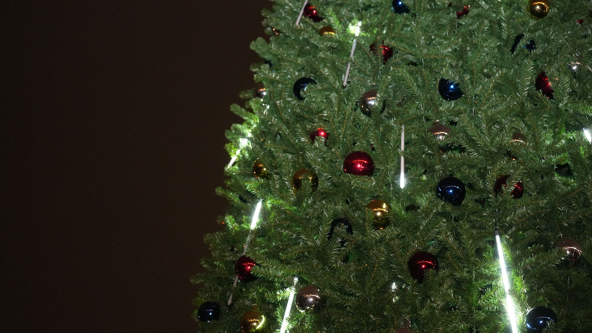 вертикалка, зима в подмосковье, елка,