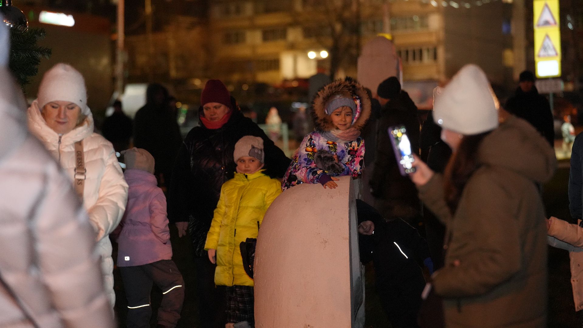 вертикалка, зима в подмосковье, елка,