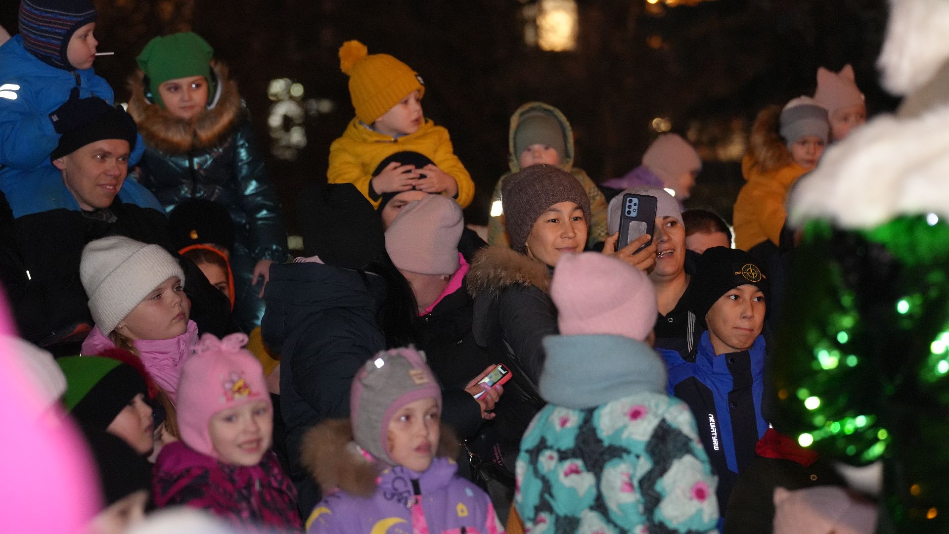 вертикалка, зима в подмосковье, елка,