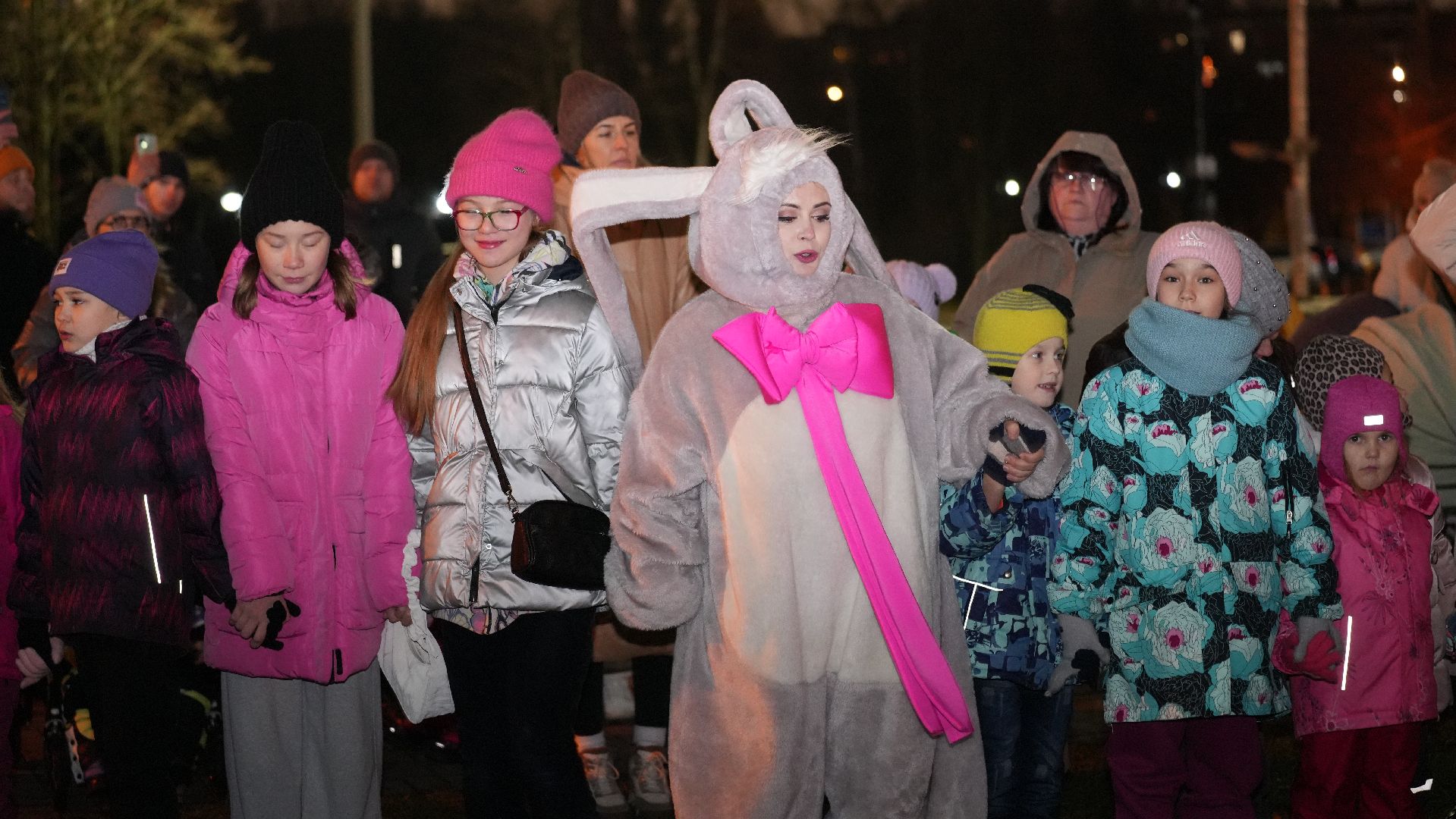 вертикалка, зима в подмосковье, елка,