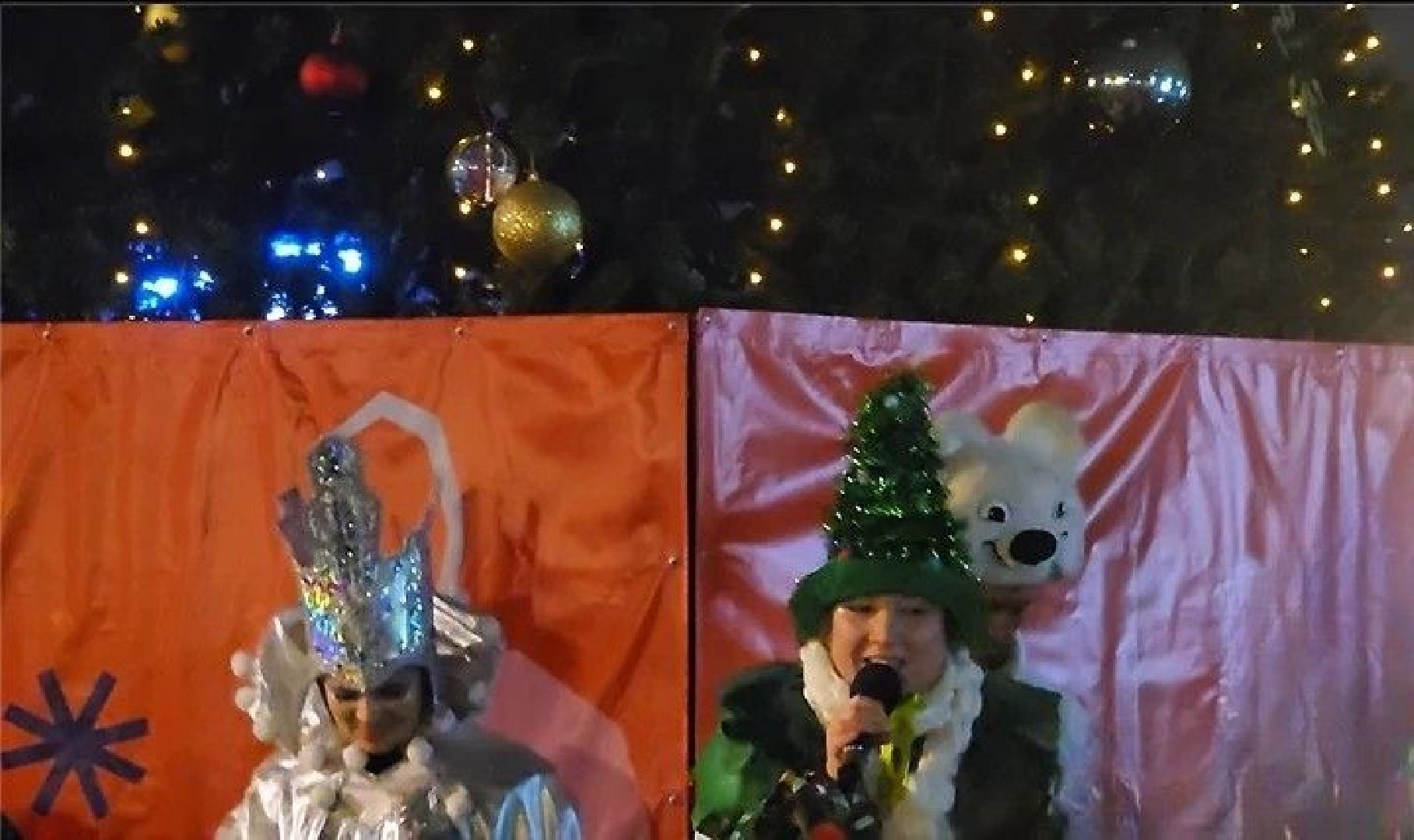 долгопрудный, зима, праздник, Зима в Подмосковье, вертикалки,