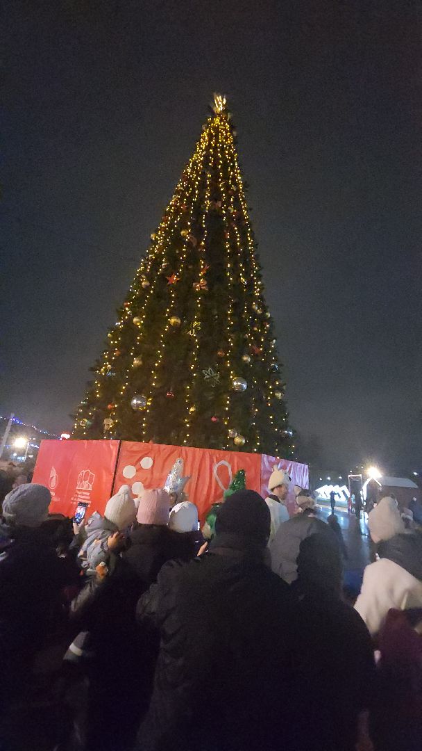 долгопрудный, зима, праздник, Зима в Подмосковье, вертикалки,