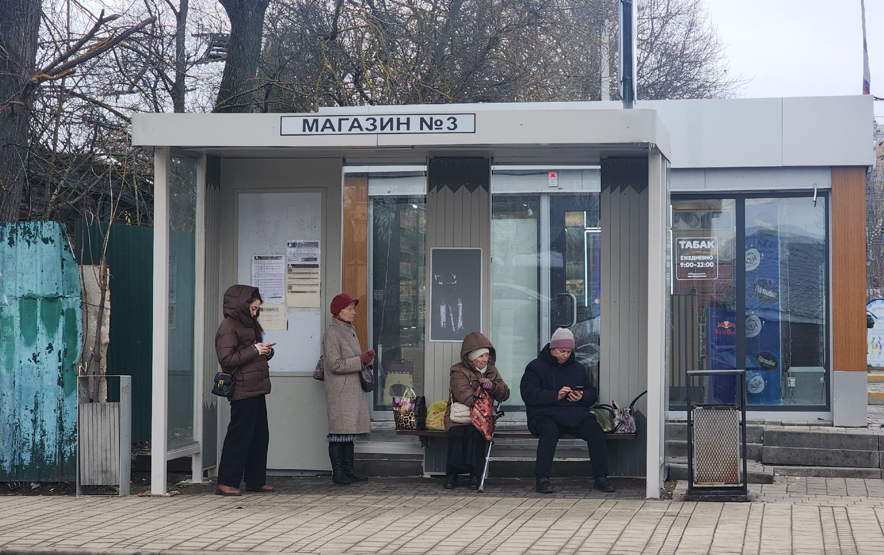 звенигород, Транспорт, общественная палата,вертикальное видео, вертикалка,