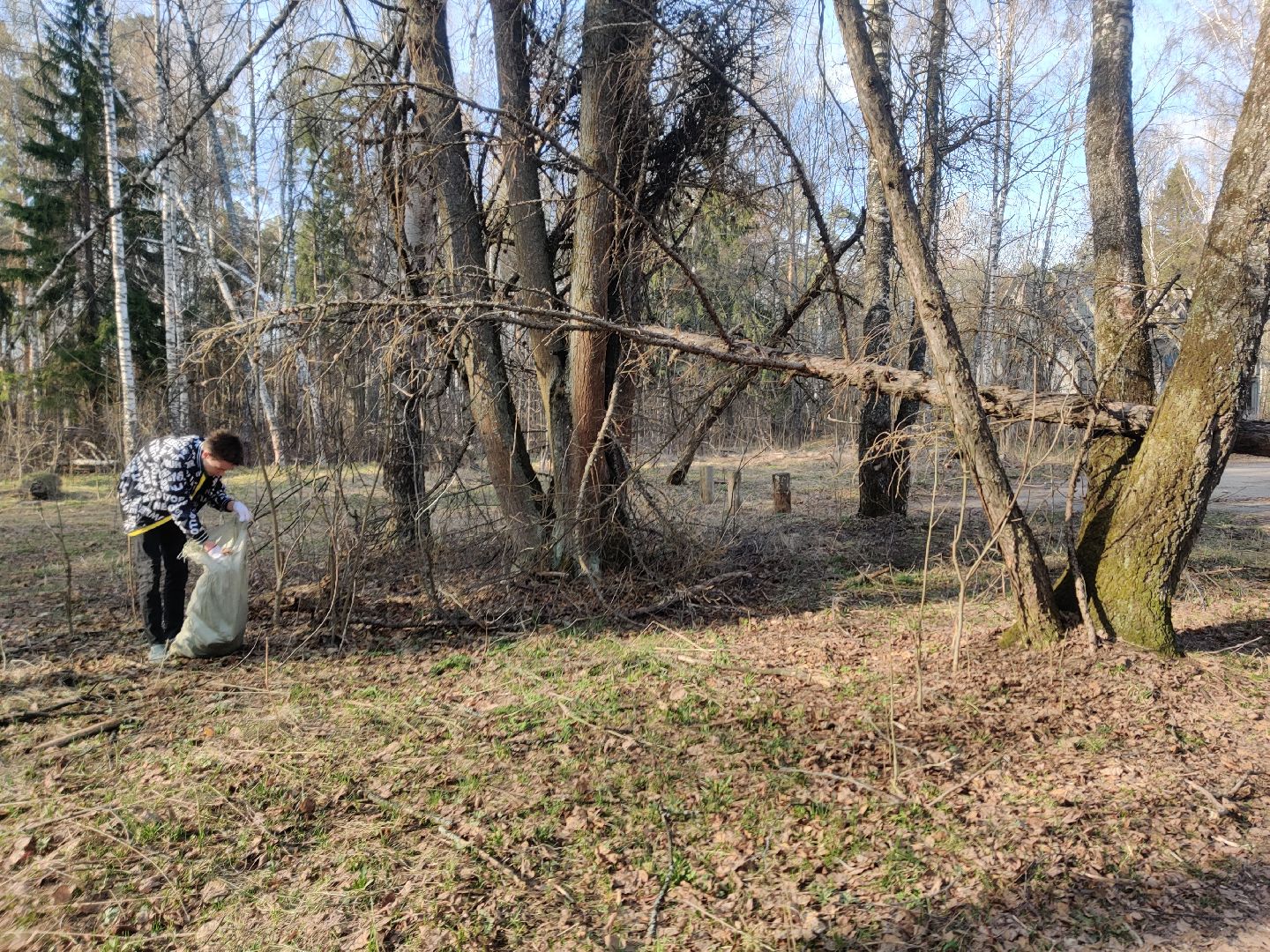 Красноармейск, Пушкинский, уборка, лесопарк, инициатива жителей