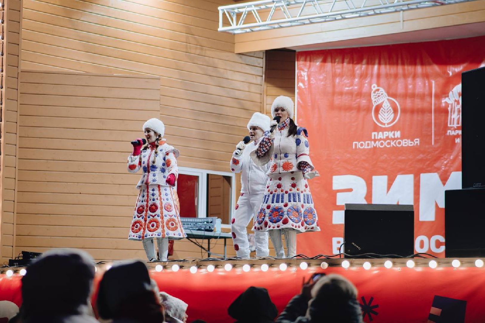 парк, новогодняя елка, гирлянды, дед мороз и снегурочка, вертикалки,