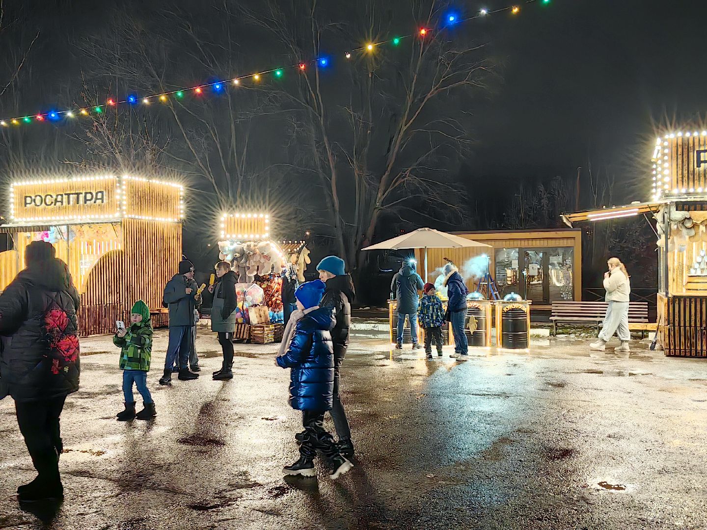 парк, новогодняя елка, гирлянды, дед мороз и снегурочка, вертикалки,